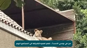 من هي بوسي الأسد؟.. فهم أهمية قضيتها في المجتمع اليوم